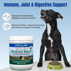 Life Line Organic Ocean Kelp added to a pet food bowl.