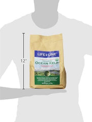 Life Line Organic Ocean Kelp powder scoop for easy daily dosing