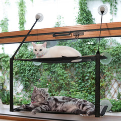 LIFIS cat window perch folding hammock lets cats lounge in sun while safe for up to 50 lb.