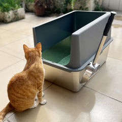 LIHOOOOM dual-hole sifting design speeds waste separation across litter types