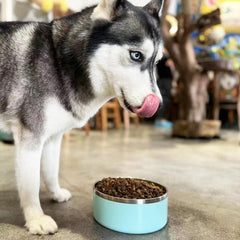LIHOOOOM dog bowl insulated outer-pp protects surface and keeps edges comfortable