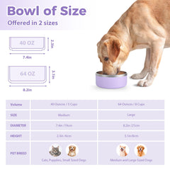 LIHOOOOM non-slip bottom keeps the dog bowl steady during meals