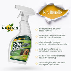 Lillian Ruff RUFF STUFF on couch spot treatment shows deep cleaning.