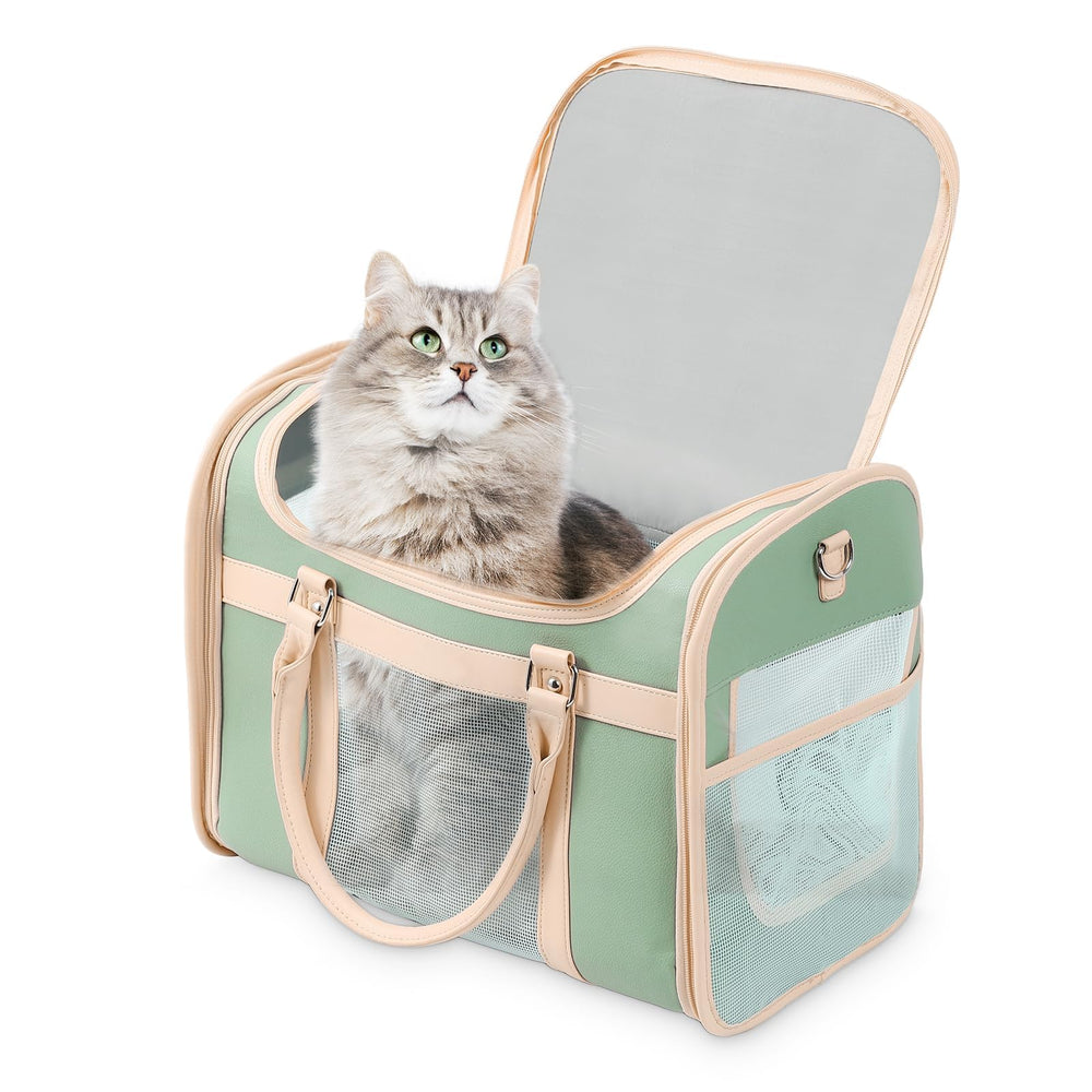 Lilliella airline-approved carrier backpack shown for cats and small dogs during travel