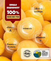 LILSNOOTS quail egg yolk treat jar closeup highlights freshness and nutrient-dense appeal.