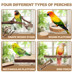 LIMIO Square Platform Perch supports varied postures during cage play.