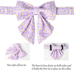 Lionet Paws daisy-pattern collar adds cheerful flair for spring walks.