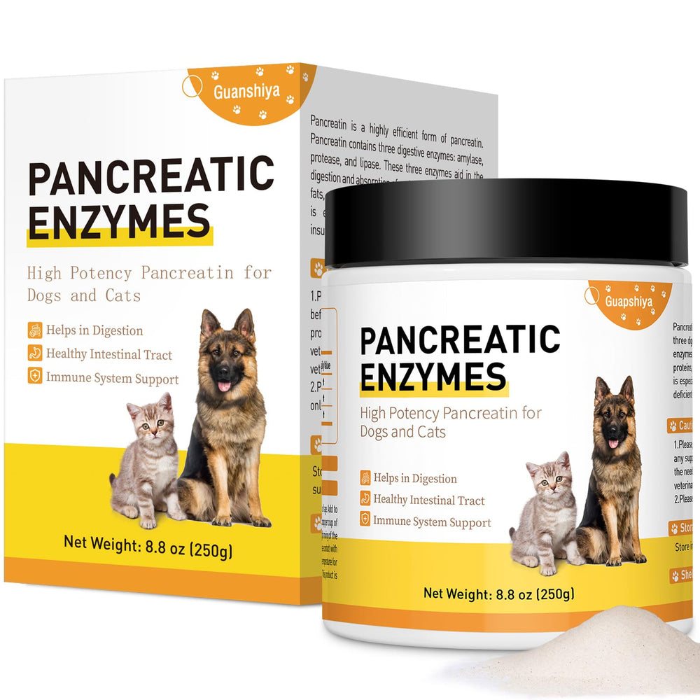 Liovsiso pancreatic enzymes for dogs bottle with scoop supporting digestion.