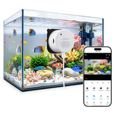 Litokam Reptile Camera 2K HDR captures vibrant colors in low light