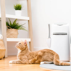 Litter Genie included scoop and holder keeps cleanup tidy.
