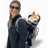 Little Chonk Maxine front facing carrier in gray for medium dogs with ergonomic support