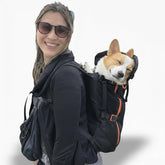Little Chonk Maxine One front-view carrier supports front-facing outings for medium dogs.
