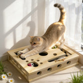Livanira XL Cat Nail File Box side view shows sturdy stability for daily grooming.