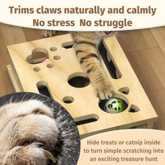 Livanira XL Cat Nail File Box replaceable filing pad extends grooming lifetime.