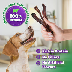 Lively Tails beef-pizzle sticks natural snack emphasizes protein-rich, additive-free design.
