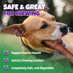 Lively Tails product with natural glucosamine and chondroitin for joints.