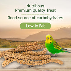 Living World Spray Millet provides a tasty small-bird snack for budgies, canaries, and finches.