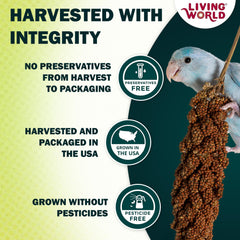 Vacuum-packed Living World Spray Millet bag preserves freshness