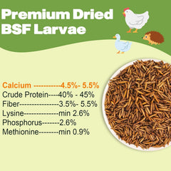 Close-up of LIWII BSF larvae highlighting protein-rich feed for growing birds.