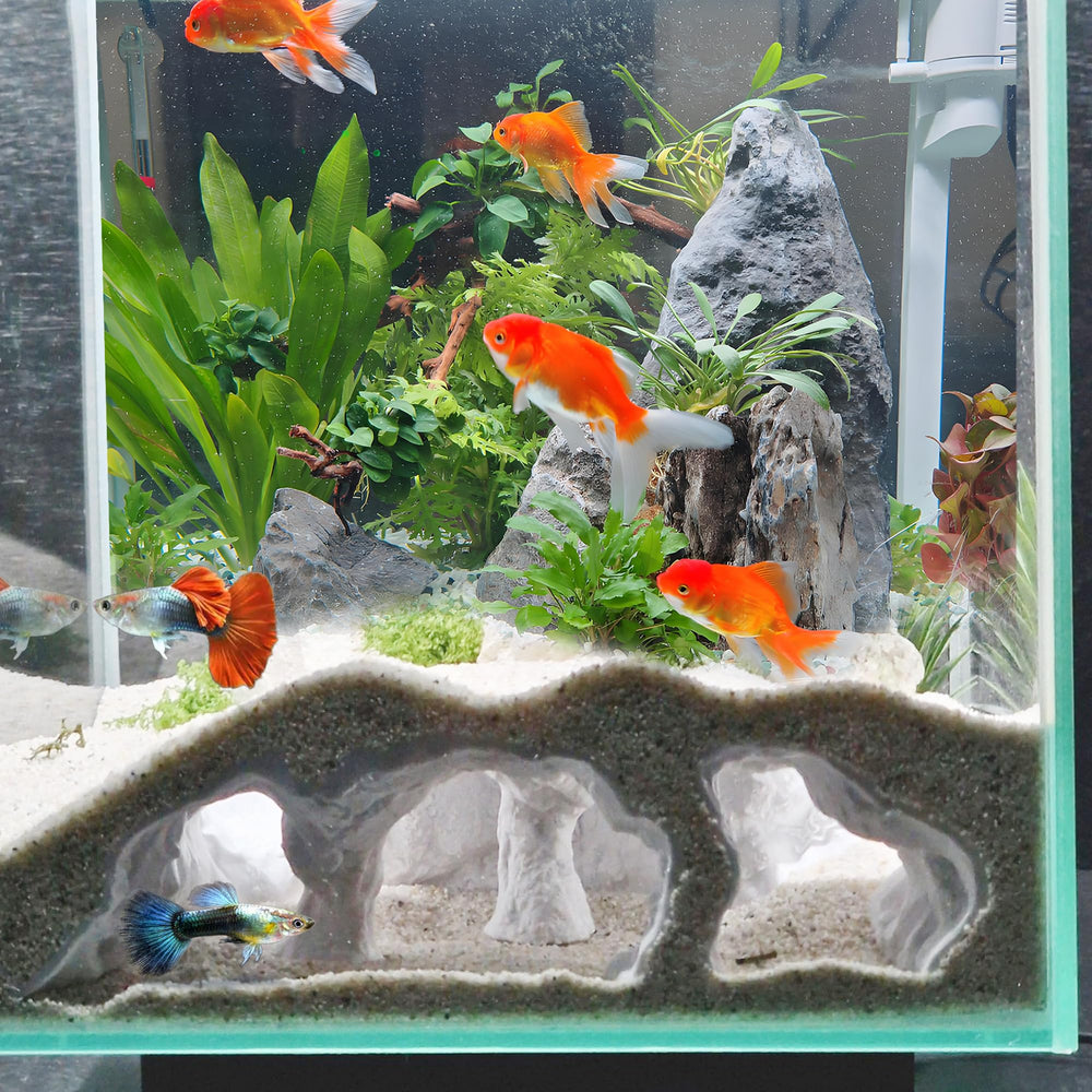 LIYAOLI 3D cave viewing window reveals resting behavior in a freshwater tank.