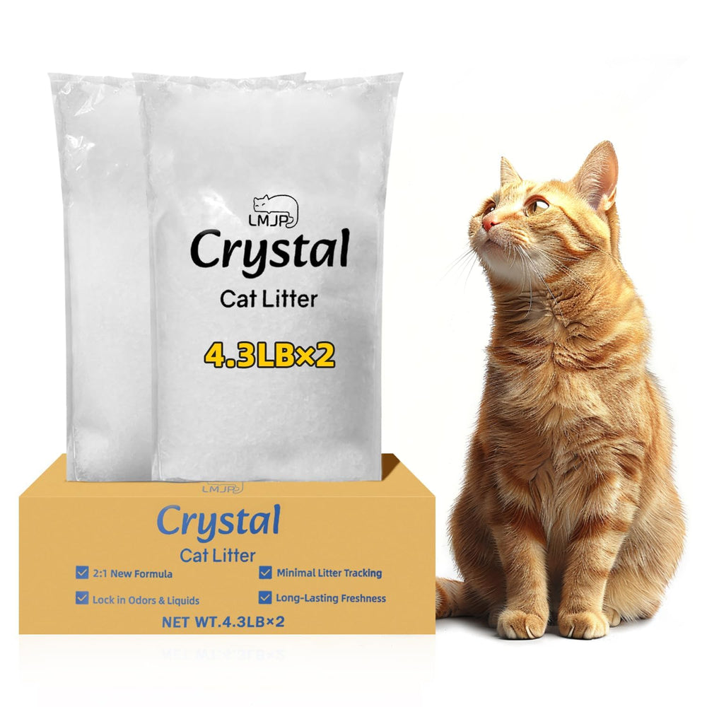 LMJP Crystal Cat Litter demonstrates rapid moisture absorption for a dry litter surface.