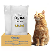 LMJP Crystal Cat Litter demonstrates rapid moisture absorption for a dry litter surface.
