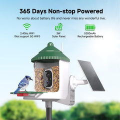Loatos Bird Feeder with Camera AI identification recognizes birds to support learning and exploration.