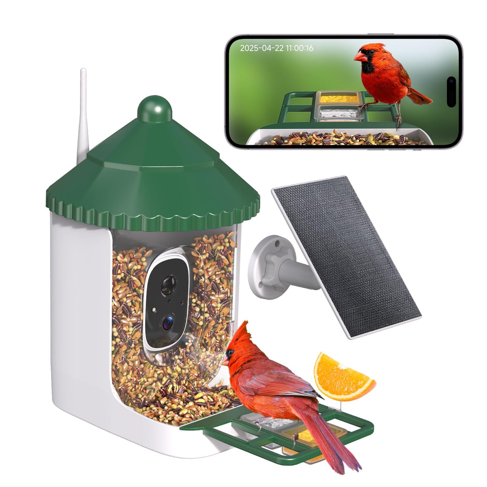 Loatos Bird Feeder with Camera front view for quick daytime wildlife watching.