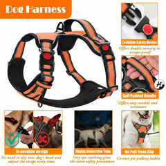 Lobeve car safety belt keeps your dog secure during road trips