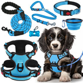 Lobeve no-pull harness in blue supports calm, comfortable walks