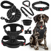 Lobeve No-Pull Harness close-up with durable nylon and secure buckle for everyday training