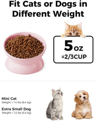 LoeJan ceramic elevated cat bowl eases neck strain during meals.