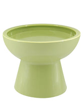 LoeJan elevated green water bowl with 18oz capacity and splash control.