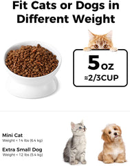 LoeJan elevated cat bowl tilt side view shows raised design for easy feeding.