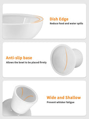 LoeJan five-inch raised cat bowl offering a comfortable feeding position.