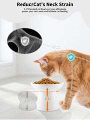 LoeJan 6-inch whisker-friendly tray reduces whisker fatigue during meals.