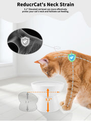 LoeJan whisker-friendly tray with wide 6 inch design reduces whisker fatigue during meals.