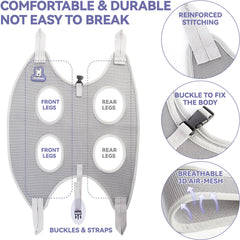 Loflaze grooming comb helping smooth fur before trimming sessions.