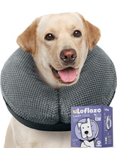 Loflaze soft inflatable dog cone XXL worn by a dog for comfortable recovery.