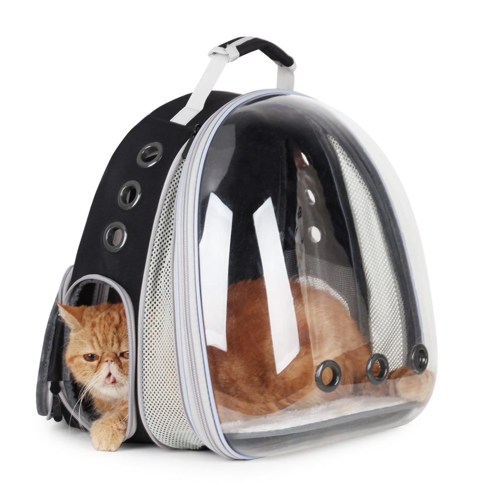 LOLLIMEOW bubble window allows pets to observe surroundings during travel.