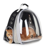 LOLLIMEOW bubble window allows pets to observe surroundings during travel.