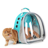 Lollimeow cat carrier backpack with bubble window for stress-free travel and curious viewing.