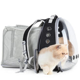LOLLIMEOW cat carrier backpack with bubble window enhancing visibility for pets during travel