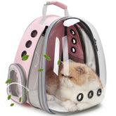 LOLLIMEOW cat carrier backpack bubble window for safe outdoor viewing.