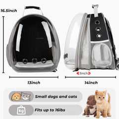 LOLLIMEOW XL-size carrier fits cats and small dogs up to 16 lbs.
