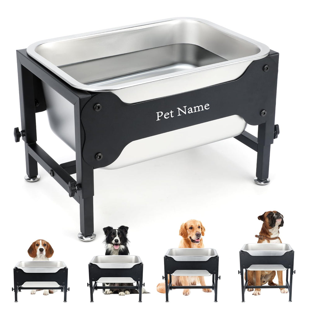 Lonepetu elevated bowl stand with adjustable heights for healthier drinking posture.