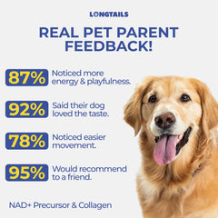 LongTails collagen dog skin coat boost tub highlights skin elasticity and coat shine.