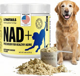 LongTails NAD+ senior dog powder bottle may support energy and aging health.