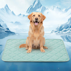 LOOBANI dog cooling mat 50x38 front view showing generous space for big dogs