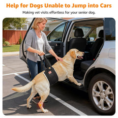 LOOBANI dog mobility aid simplifies standing and walking for aging companions